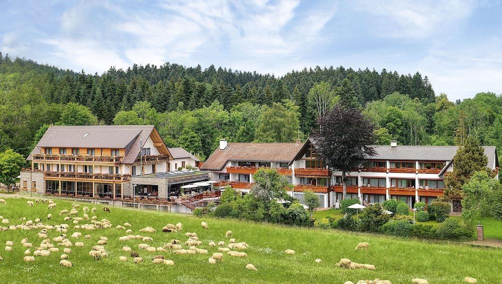 Hotel Gruener Wald Freudenstadt Esterno foto