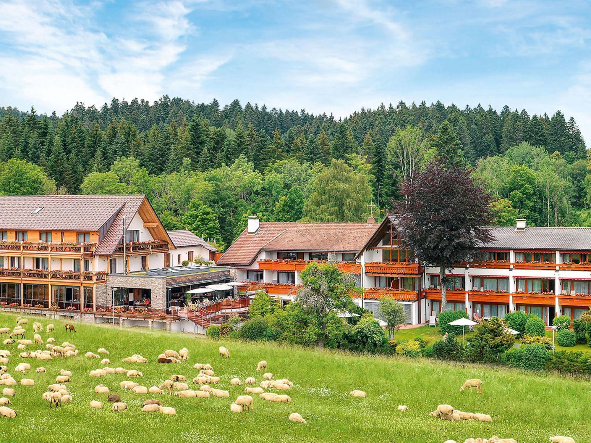 Hotel Gruener Wald Freudenstadt Esterno foto